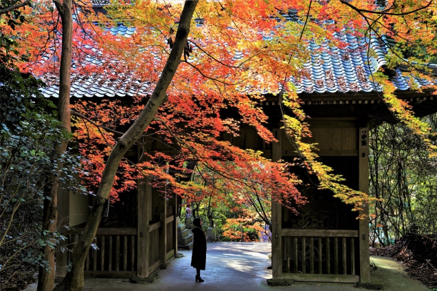 【香川の紅葉スポット】四国霊場第71番札所「弥谷寺」