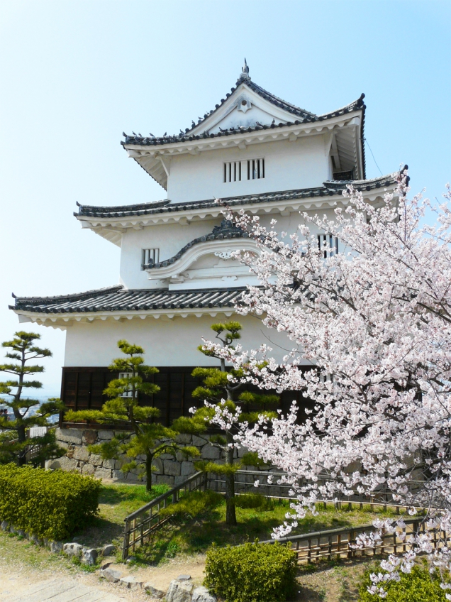 【丸亀城】約650本の桜★毎年4月1日〜4月14日まで「桜まつり」を開催予定！