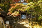 香川県の紅葉スポット　「大窪寺」