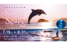 ＼夜の水族館で幻想体験🐬✨／ 四国水族館「Night Scapeこがねいろ2025」開催中【8/31まで】