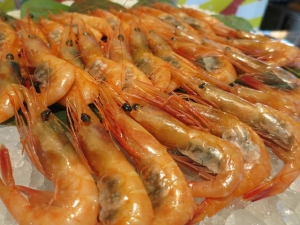 Sweet Shrimp Festival!!!!
