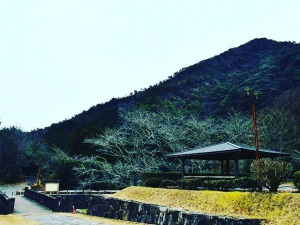 One of the famous 88 spots in Shikoku - Hounenikeentei