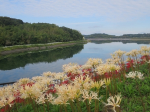 Secret sightseeing spot in Kagawa