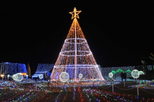 The biggest Illumination Show in Shikoku area!!