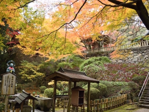Must-See foliage spots in Kagawa county. (Part.1)