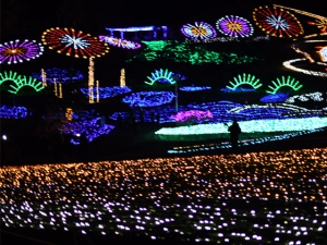 Mannon Illumination Fair in 2019