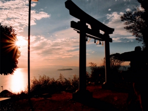 The highest Torii in the Shikokku area