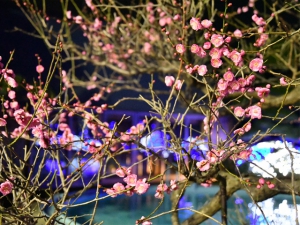 Hot Spring Rakugo Night in Koubaite on Feb. 8!!