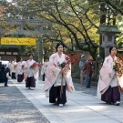 Konpirasan Foliage Festival