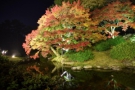 Ritsurin Garden in Autumn (One of three biggest gardens in Japan)