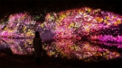 teamLab: Digitized Ritsurin Garden