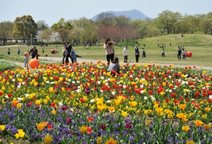 ［期間限定］國營滿濃公園春季花展