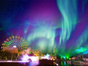 雷歐瑪樂園—「2019年冬季燈展」即將展開！