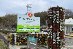 【讚岐花園】紅垂櫻正值盛開。