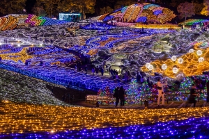 ✨【今年已是第20屆!】滿濃公園「冬季奇幻」活動🎄從紅梅亭開車20分鐘即可到達的冬季絕景✨