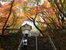 四國八十八所賞紅葉景點「第82所—根香寺」