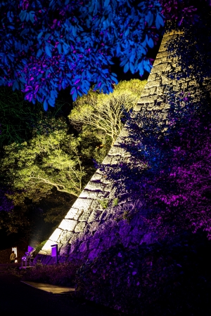 【10/4～開催】丸亀城キャッスルロード Rebornで幻想的な夜を♪ 紅梅亭から25分のナイト観光へ　※10/4空室あります