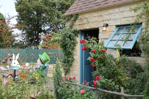 🌹秋の絶景バラ旅♪レオマリゾート「秋の大バラまつり」開催中！