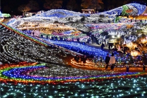 ✨【今年で20回目!】 まんのう公園ウィンターファンタジー🎄 琴平発着冬の絶景ツアー「まんのう公園イルミネーションツアー」開催中!✨