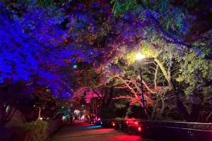 幻想的な夜の丸亀城へ―― 【丸亀城キャッスルロード Reborn】開催中|紅梅亭から約25分