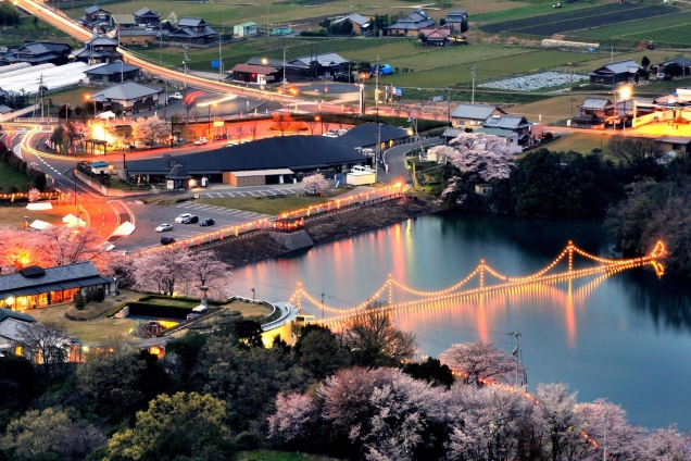 香川県桜の名所④「戸川ダム公園」 　