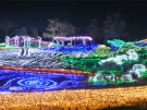 まんのう公園のイルミネーションを見に行こう♪