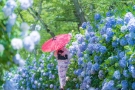 【香川の初夏旅スポット】紫雲出山★紫陽花と瀬戸内の多島美を楽しむ