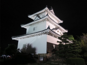 2019 Light-up show in Marugame Castle!!