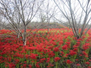 Secret sightseeing spot in Kagawa