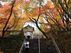 Must-See foliage spots in Kagawa county. (Part.1)