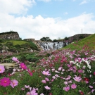 Sanuki Mannou Park-Autumn Festival