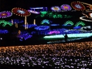 Mannon Illumination Fair in 2019