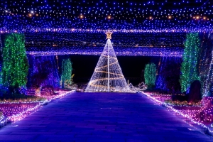 ✨【今年已是第20屆！】滿濃公園「冬季奇幻」活動🎄從紅梅亭開車20分鐘即可到達的冬季絕景✨