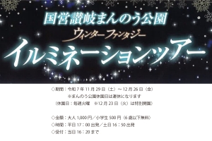 預約受理中✨從琴平出發！滿濃公園燈光秀之旅🎄